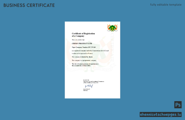 Beispiel eines Geschäftsregistrierungszertifikats aus Niger (Word- und PDF-Datei)